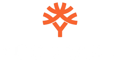 partners who work with AK777